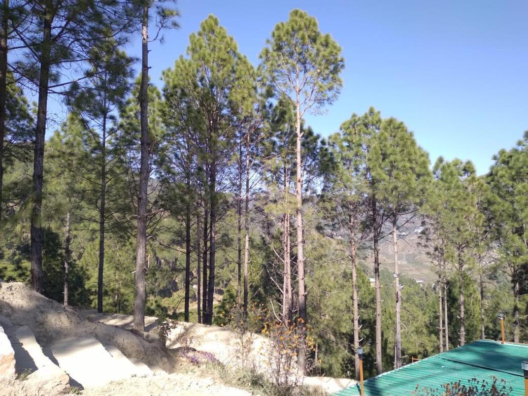 Nature Villaas Basa Homestay Pauri Exteriör bild