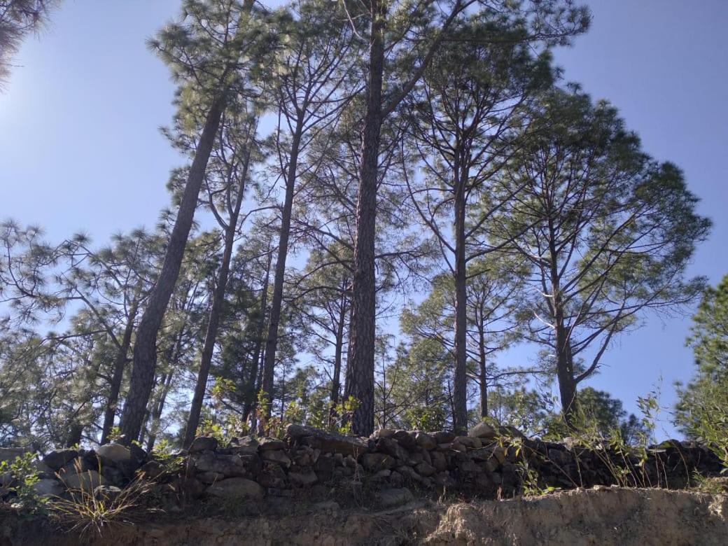 Nature Villaas Basa Homestay Pauri Exteriör bild